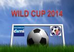 Wild Cup 2014 wchodzi w decydującą fazę