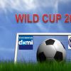 Rusza mundial Wild Cup 2014